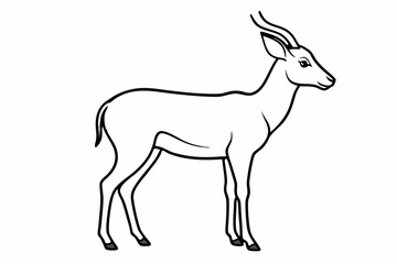 silhouette isolated on white