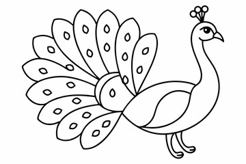 bird of paradise flower