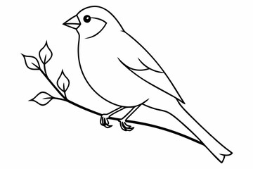illustration of a bird
