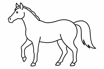 horse isolated on white background