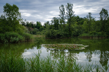Abandoned quarry in Veliki Nerajec