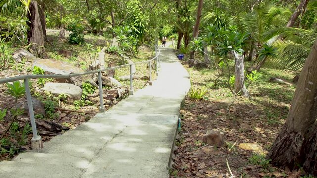3e partie du chemin ciment&eacute; dans les arbres jusqu'au point de vue de Ko Phi Phi
