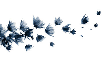 Fototapeta premium Beautiful blue and white flowers create a stunning floral arrangement