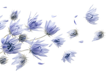 Beautiful blue and white flowers create a stunning floral arrangement