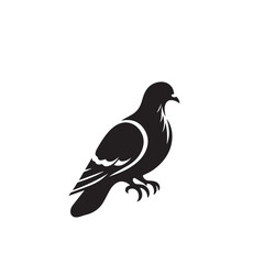 Fototapeta premium Pigeon bird silhouette. Pigeon logo, icon. Pigeon vector design isolated on white background.