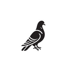 Obraz premium Pigeon bird silhouette. Pigeon logo, icon. Pigeon vector design isolated on white background.