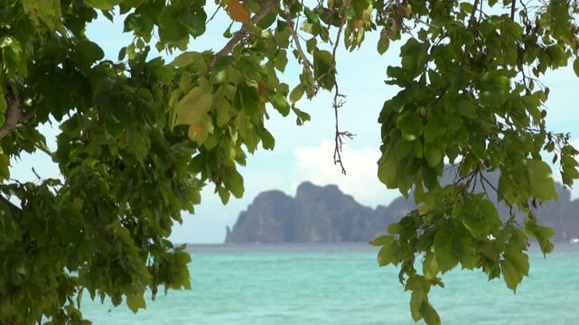 Vue de l'&icirc;le de Ko Phi Phi Lay &agrave; travers du feuillage