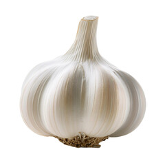 garlic isolated on white background