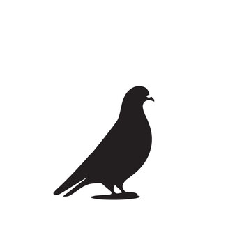 recommend clip art: Pigeon bird silhouette. Pigeon logo, icon. Pigeon vector design isolated on white background.