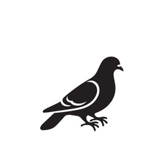 Obraz premium Pigeon bird silhouette. Pigeon logo, icon. Pigeon vector design isolated on white background.
