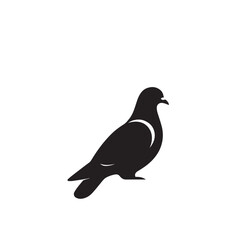 Fototapeta premium Pigeon bird silhouette. Pigeon logo, icon. Pigeon vector design isolated on white background.