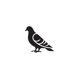 Obraz premium Pigeon bird silhouette. Pigeon logo, icon. Pigeon vector design isolated on white background.