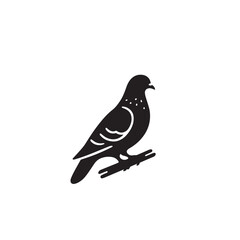 Obraz premium Pigeon bird silhouette. Pigeon logo, icon. Pigeon vector design isolated on white background.