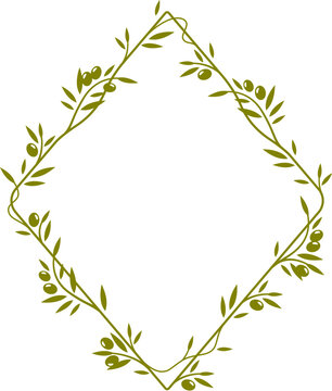 Olive tree branch frame or divider border of green leaves or plant wreath, vector background. Olives leaf decoration for frame or border and divider element of ornate ornament of Greek olive wreath