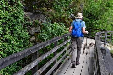 Mann und sein Lagotto Romagnolo Hund wandern in S&uuml;dtirol 