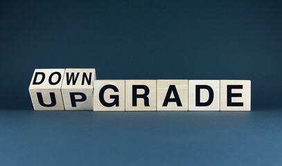 Business Evolution: Upgrade or Downgrade