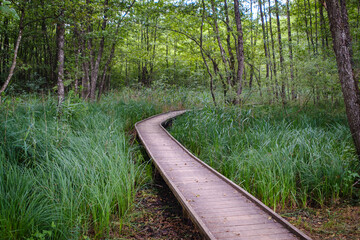Wetland wooden path and bird watching shelter in Nerajski lugi in Bela krajina, Slovenia.
