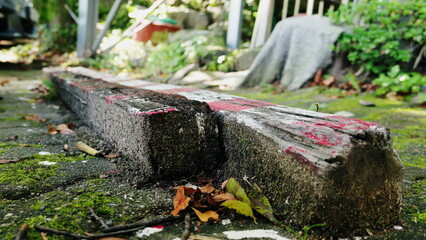 세월의 흔적이 보이는 버팀목