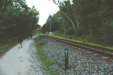 Camino de Santiago