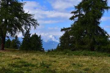 Schöne Landschaft mit Bergen am Salten in Südtirol 