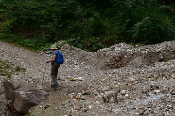 Mann und sein Lagotto Romagnolo Hund wandern in Südtirol 