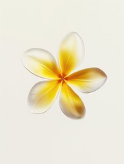 Naklejka premium Vibrant Flower Photograph