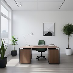 Modern minimalist office space