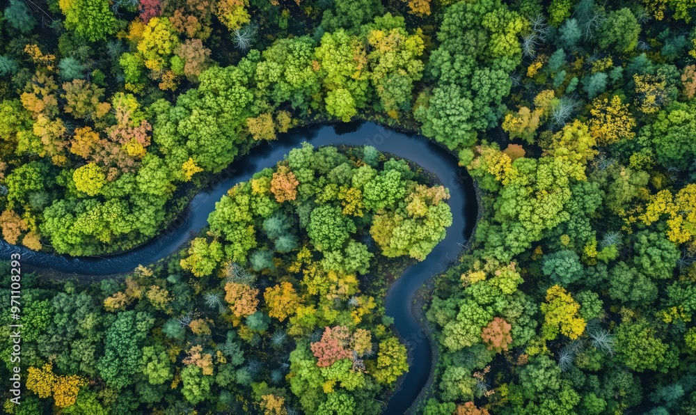 Poster a forest with a river running through it. the trees are green and yellow. the river is clear and cal