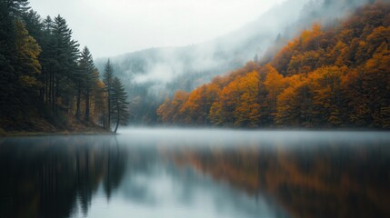 A lake with a foggy sky and trees in the background. The water is calm and the trees are orange