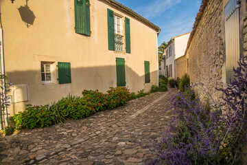 Charente Maritime landscape of the Ile de Re