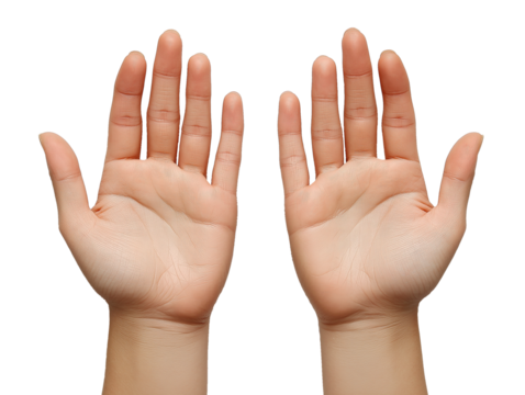 hands isolated on isolated on white