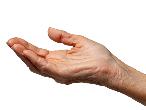 hands of the person isolated on white