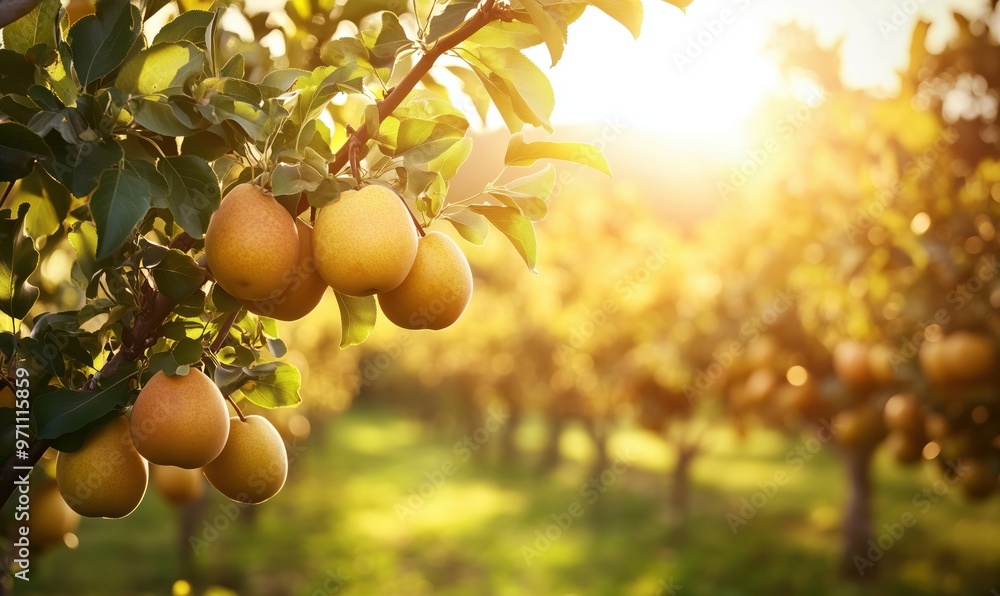 Poster a tree with many apples hanging from it. the apples are ripe and ready to be picked. the sun is shin