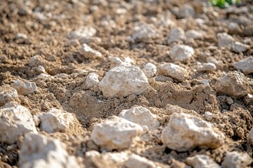 Close-up of rocky, brown soil. Perfect for textures or backgrounds related to earth, nature, or construction.