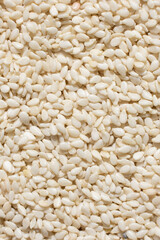 White sesame background, macro top view.