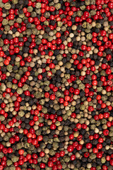 A mixture of different peppercorns white, black, red and green peppers spices.