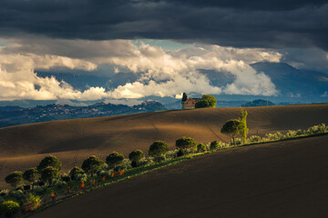 Spring view of landscapes of region Marche near Ancona during sunset. Green waves hills and lone...