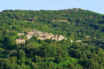Fototapeta premium Talasani village and Chestnut forest in Tavagna mountain. Corsica island