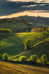 Spring view of landscapes of region Marche near Ancona during sunset. Green waves hills and lone trees make this landscape unreal.