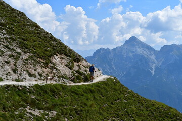 Mann und sein Lagotto Romagnolo Hund wandern im Stubaital 