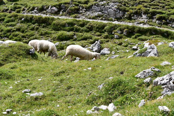 Schade im Stubaital in Tirol 