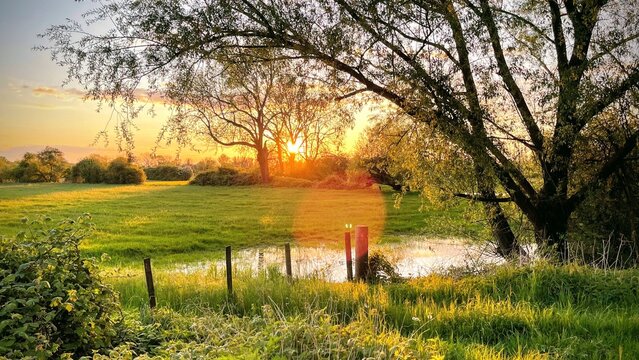 Rheinauen - Peaceful