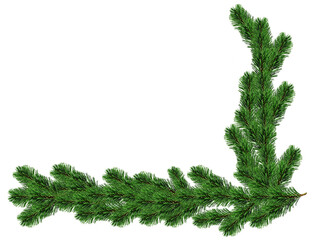 fir leaves transparent png for christmas or happy new year poster, banner, blur fir leaves or pine leaves png for advertisement, social media creative.