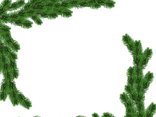 fir leaves transparent png for christmas or happy new year poster, banner, blur fir leaves or pine leaves png for advertisement, social media creative.