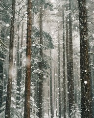 Fototapeta premium gentle snowfall in a dense forest, with snowflakes softly falling through tall pine trees