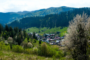 Voronet village view from the hill