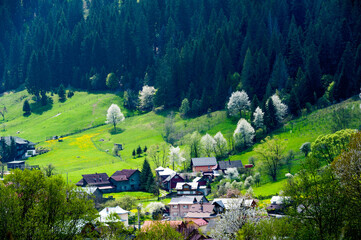 Voronet village view from the hill