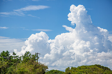 夏の空と入道雲