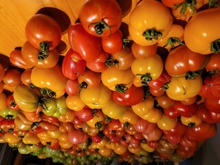 tomatoes in market