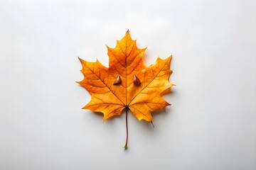 Halloween scary pumpkins and leaves top view with copy space background 